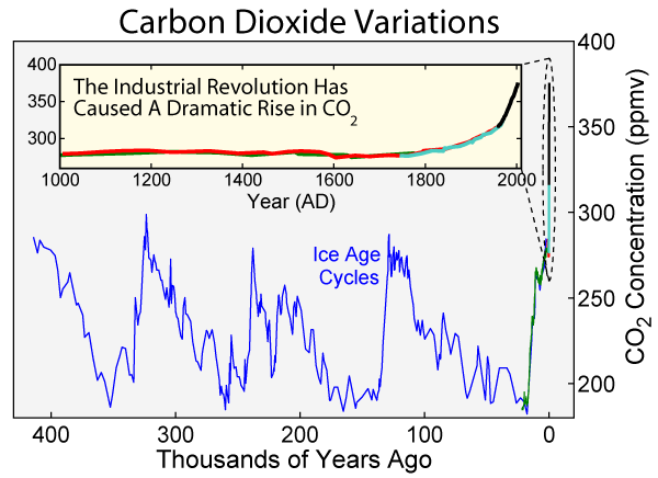 Carbon Dioxide Variations